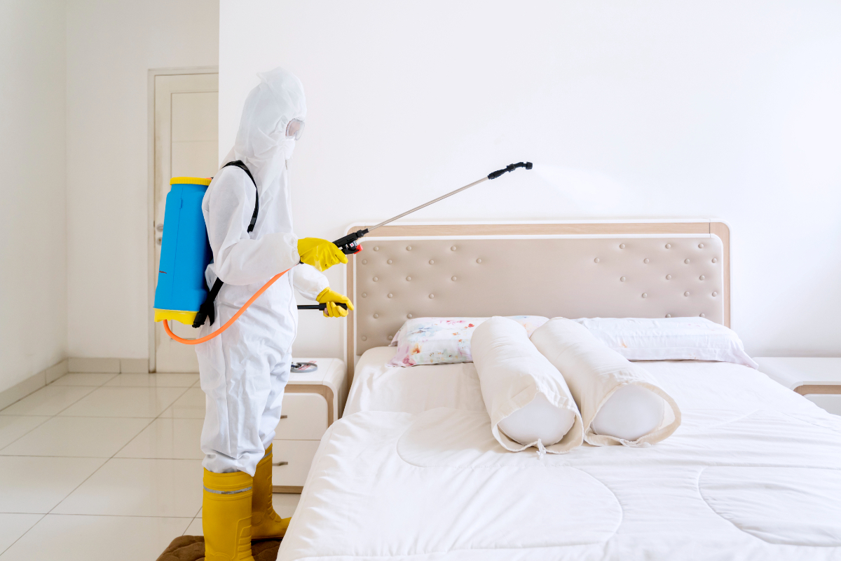 Bed Bug Fumigation Services Tamworth, Newcastle-under-lyme, Burton Upon Trent